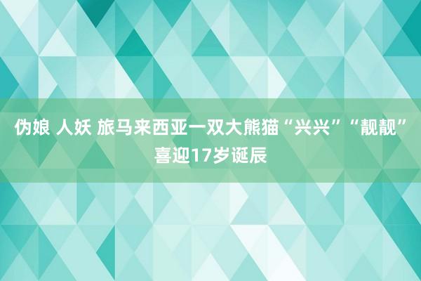 伪娘 人妖 旅马来西亚一双大熊猫“兴兴”“靓靓”喜迎17岁诞辰