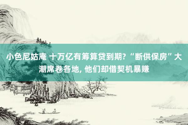 小色尼姑庵 十万亿有筹算贷到期? “断供保房”大潮席卷各地， 他们却借契机暴赚