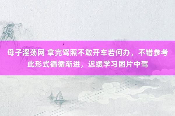 母子淫荡网 拿完驾照不敢开车若何办，不错参考此形式循循渐进，迟缓学习图片中驾