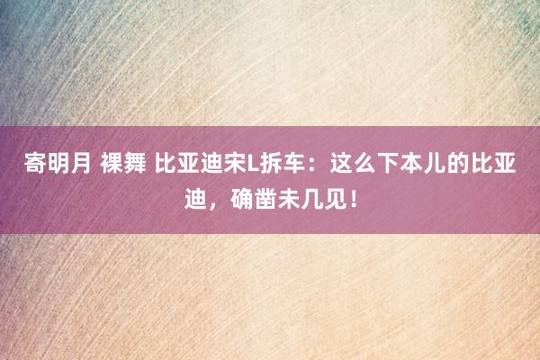 寄明月 裸舞 比亚迪宋L拆车：这么下本儿的比亚迪，确凿未几见！