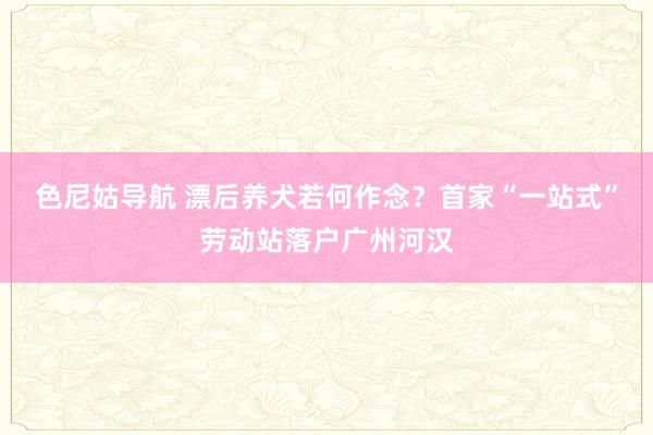 色尼姑导航 漂后养犬若何作念？首家“一站式”劳动站落户广州河汉