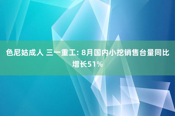 色尼姑成人 三一重工: 8月国内小挖销售台量同比增长51%