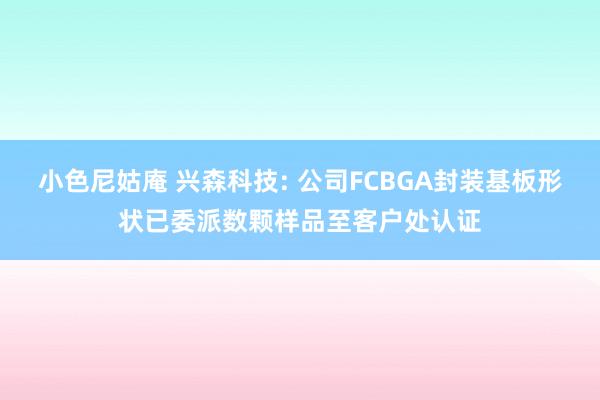 小色尼姑庵 兴森科技: 公司FCBGA封装基板形状已委派数颗样品至客户处认证