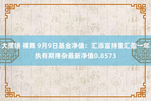 大摆锤 裸舞 9月9日基金净值：汇添富持重汇盈一年执有期搀杂最新净值0.8573