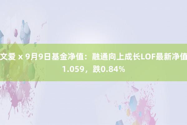 文爱 x 9月9日基金净值：融通向上成长LOF最新净值1.059，跌0.84%