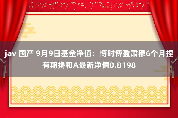 jav 国产 9月9日基金净值：博时博盈肃穆6个月捏有期搀和A最新净值0.8198