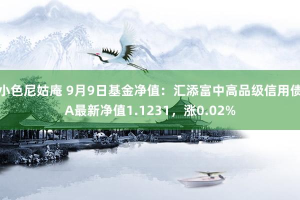 小色尼姑庵 9月9日基金净值：汇添富中高品级信用债A最新净值1.1231，涨0.02%