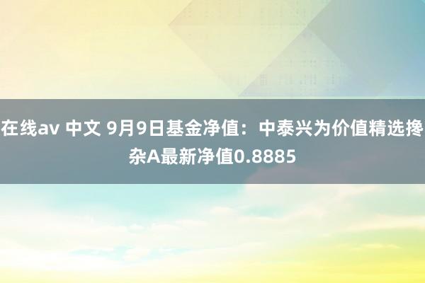 在线av 中文 9月9日基金净值：中泰兴为价值精选搀杂A最新净值0.8885