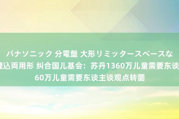 パナソニック 分電盤 大形リミッタースペースなし 露出・半埋込両用形 纠合国儿基会：苏丹1360万儿童需要东谈主谈观点转圜