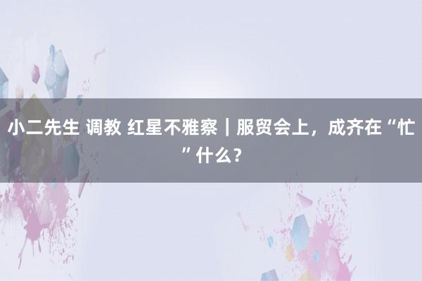 小二先生 调教 红星不雅察｜服贸会上，成齐在“忙”什么？