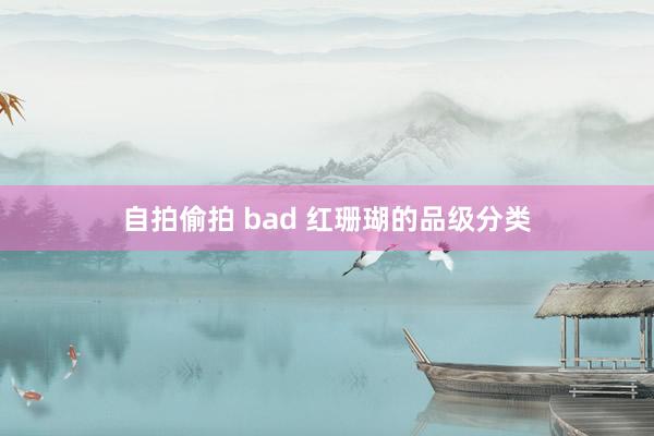 自拍偷拍 bad 红珊瑚的品级分类