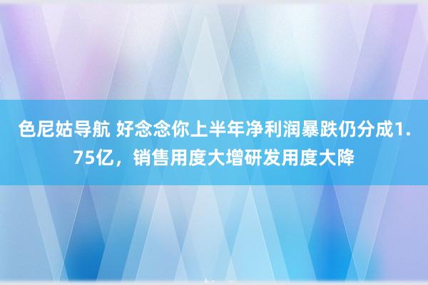 色尼姑导航 好念念你上半年净利润暴跌仍分成1.75亿，销售用度大增研发用度大降