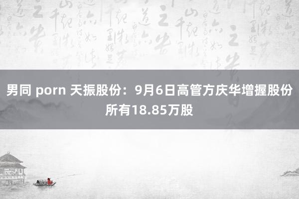 男同 porn 天振股份：9月6日高管方庆华增握股份所有18.85万股