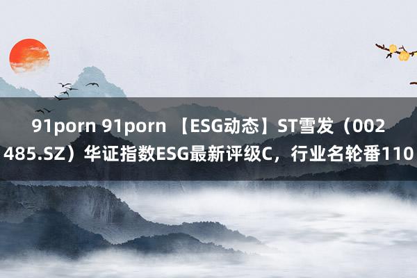 91porn 91porn 【ESG动态】ST雪发（002485.SZ）华证指数ESG最新评级C，行业名轮番110