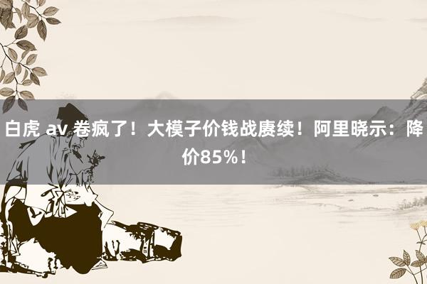 白虎 av 卷疯了！大模子价钱战赓续！阿里晓示：降价85%！