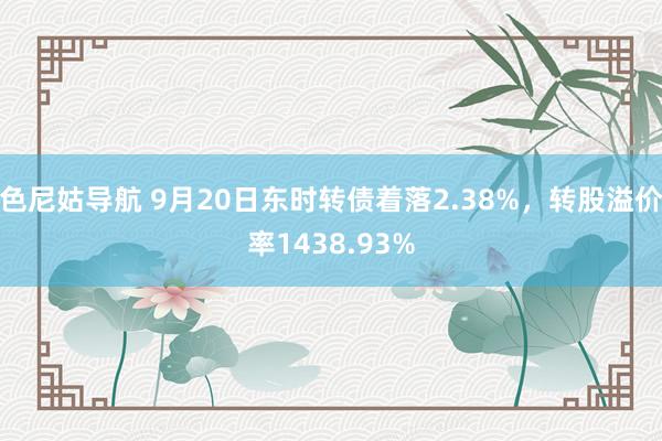 色尼姑导航 9月20日东时转债着落2.38%，转股溢价率1438.93%