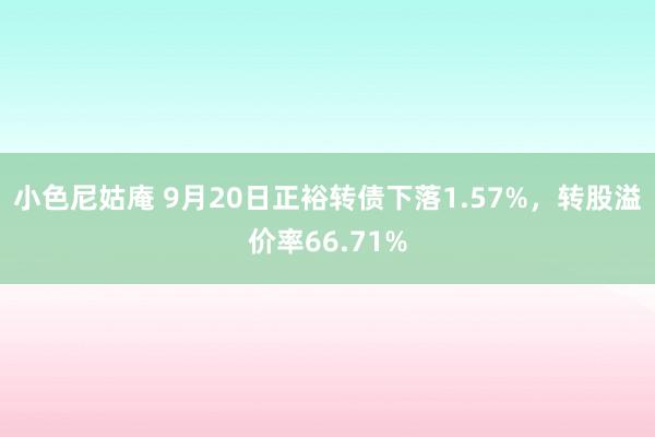 小色尼姑庵 9月20日正裕转债下落1.57%，转股溢价率66.71%