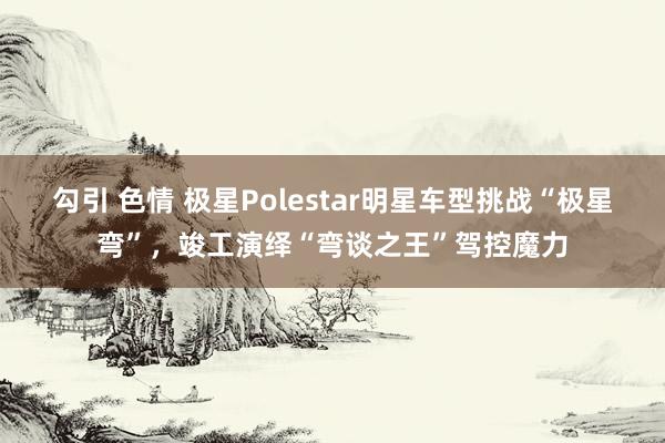 勾引 色情 极星Polestar明星车型挑战“极星弯”，竣工演绎“弯谈之王”驾控魔力