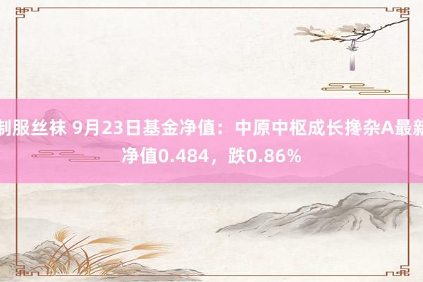 制服丝袜 9月23日基金净值：中原中枢成长搀杂A最新净值0.484，跌0.86%