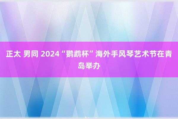 正太 男同 2024“鹦鹉杯”海外手风琴艺术节在青岛举办