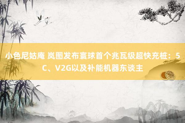 小色尼姑庵 岚图发布寰球首个兆瓦级超快充桩：5C、V2G以及补能机器东谈主