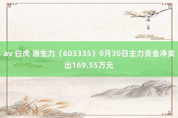 av 白虎 迪生力（603335）9月30日主力资金净卖出169.55万元