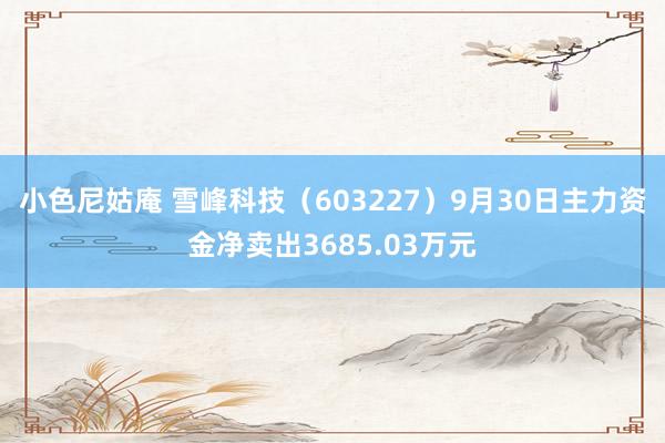 小色尼姑庵 雪峰科技（603227）9月30日主力资金净卖出3685.03万元