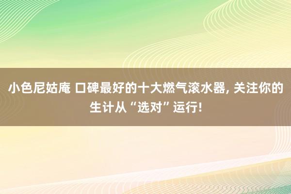 小色尼姑庵 口碑最好的十大燃气滚水器， 关注你的生计从“选对”运行!