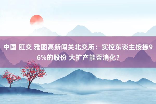 中国 肛交 雅图高新闯关北交所：实控东谈主按捺96%的股份 大扩产能否消化？