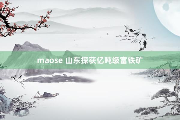 maose 山东探获亿吨级富铁矿