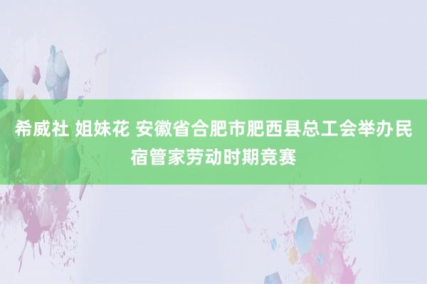 希威社 姐妹花 安徽省合肥市肥西县总工会举办民宿管家劳动时期竞赛