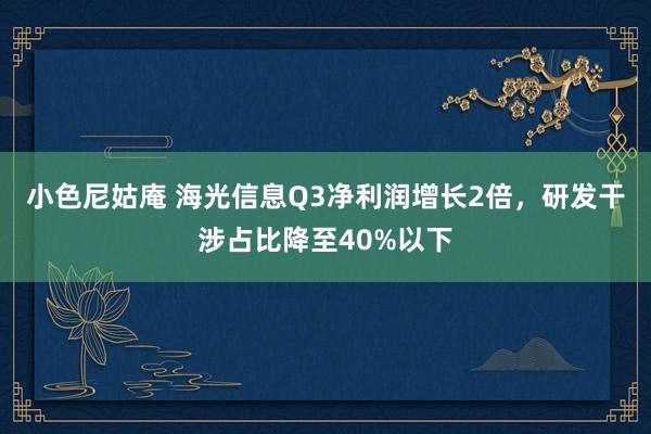 小色尼姑庵 海光信息Q3净利润增长2倍，研发干涉占比降至40%以下