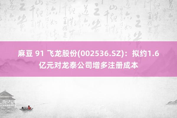 麻豆 91 飞龙股份(002536.SZ)：拟约1.6亿元对龙泰公司增多注册成本