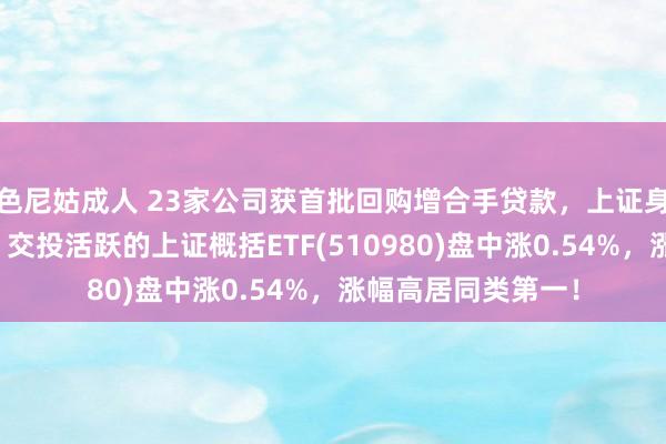 色尼姑成人 23家公司获首批回购增合手贷款，上证身分股占比近六成！交投活跃的上证概括ETF(510980)盘中涨0.54%，涨幅高居同类第一！