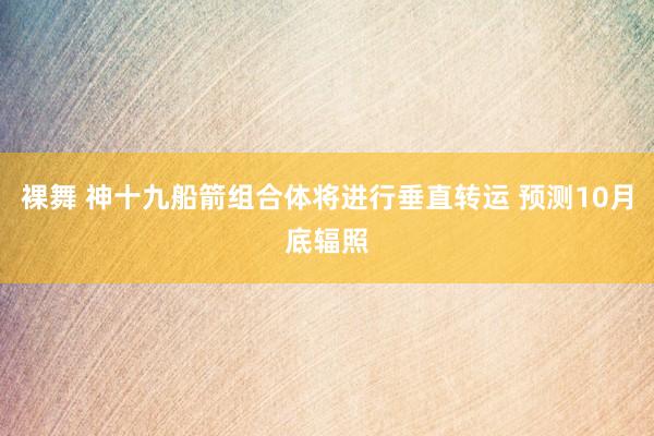 裸舞 神十九船箭组合体将进行垂直转运 预测10月底辐照