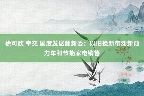 徐可欣 拳交 国度发展翻新委：以旧换新带动新动力车和节能家电销售