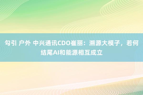 勾引 户外 中兴通讯CDO崔丽：溯源大模子，若何结尾AI和能源相互成立