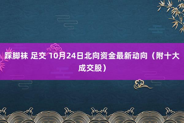 踩脚袜 足交 10月24日北向资金最新动向（附十大成交股）