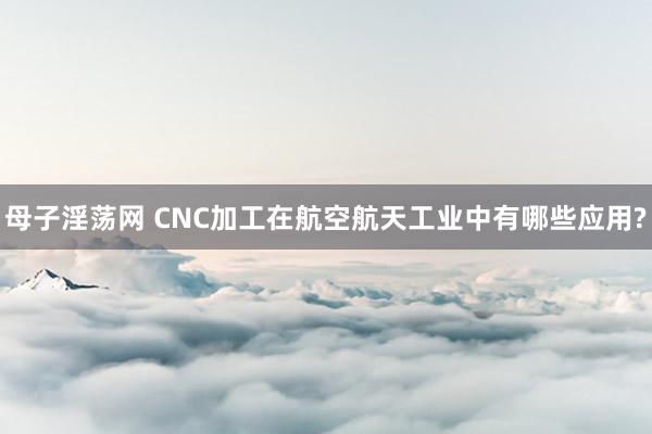 母子淫荡网 CNC加工在航空航天工业中有哪些应用?