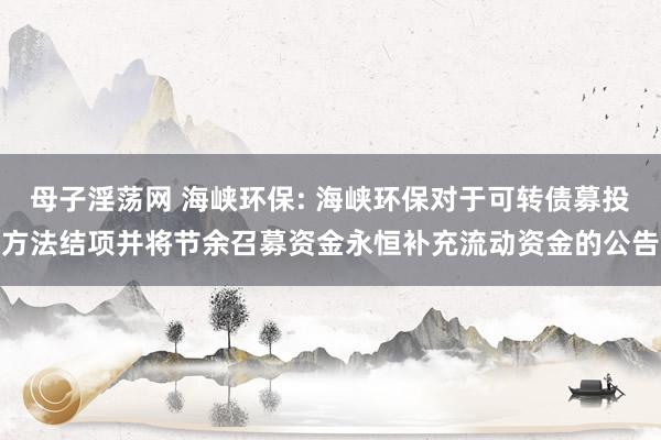 母子淫荡网 海峡环保: 海峡环保对于可转债募投方法结项并将节余召募资金永恒补充流动资金的公告