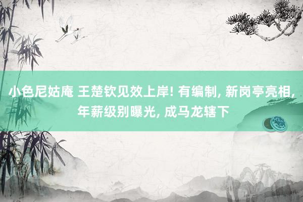 小色尼姑庵 王楚钦见效上岸! 有编制， 新岗亭亮相， 年薪级别曝光， 成马龙辖下