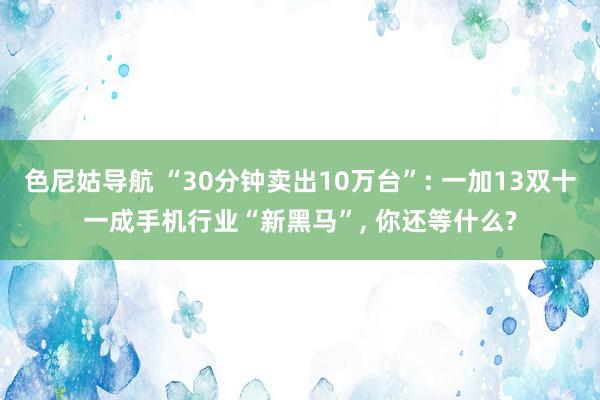 色尼姑导航 “30分钟卖出10万台”: 一加13双十一成手机行业“新黑马”， 你还等什么?