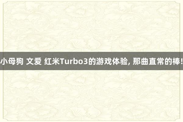 小母狗 文爱 红米Turbo3的游戏体验, 那曲直常的棒!