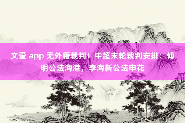 文爱 app 无外籍裁判！中超末轮裁判安排：傅明公法海港，李海新公法申花