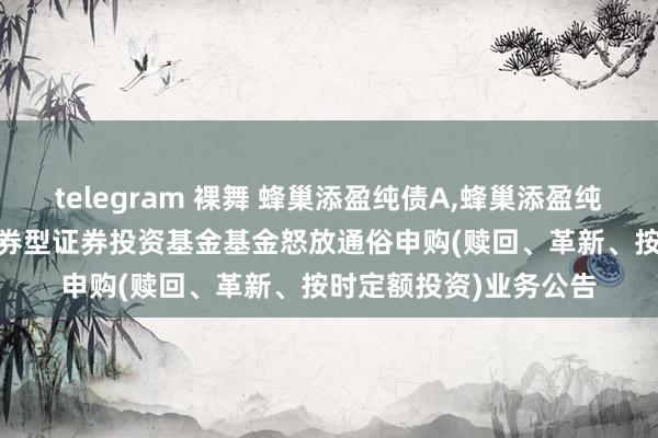 telegram 裸舞 蜂巢添盈纯债A，蜂巢添盈纯债C: 蜂巢添盈纯债债券型证券投资基金基金怒放通俗申购(赎回、革新、按时定额投资)业务公告