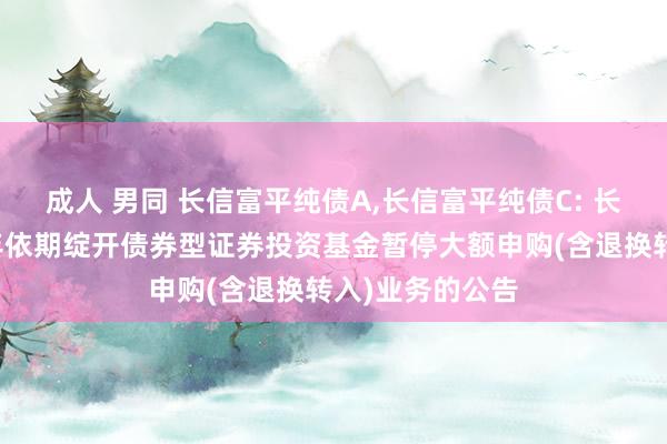 成人 男同 长信富平纯债A，长信富平纯债C: 长信富平纯债一年依期绽开债券型证券投资基金暂停大额申购(含退换转入)业务的公告