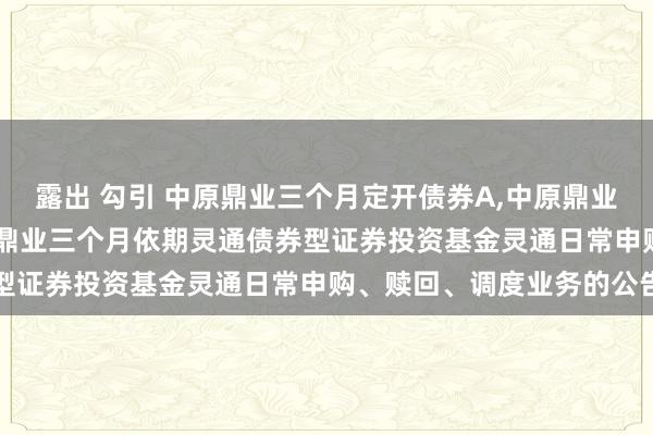 露出 勾引 中原鼎业三个月定开债券A，中原鼎业三个月定开债券C: 中原鼎业三个月依期灵通债券型证券投资基金灵通日常申购、赎回、调度业务的公告