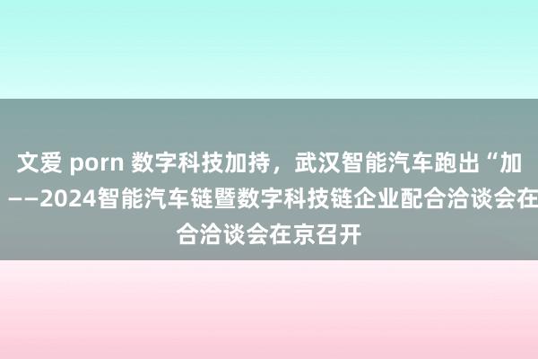 文爱 porn 数字科技加持，武汉智能汽车跑出“加快度”  ——2024智能汽车链暨数字科技链企业配合洽谈会在京召开