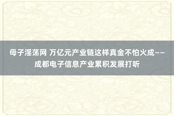 母子淫荡网 万亿元产业链这样真金不怕火成——成都电子信息产业累积发展打听