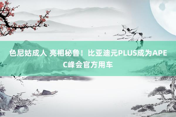 色尼姑成人 亮相秘鲁！比亚迪元PLUS成为APEC峰会官方用车